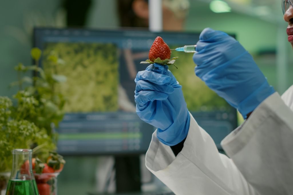 Laboratory scientist handling a specimen
