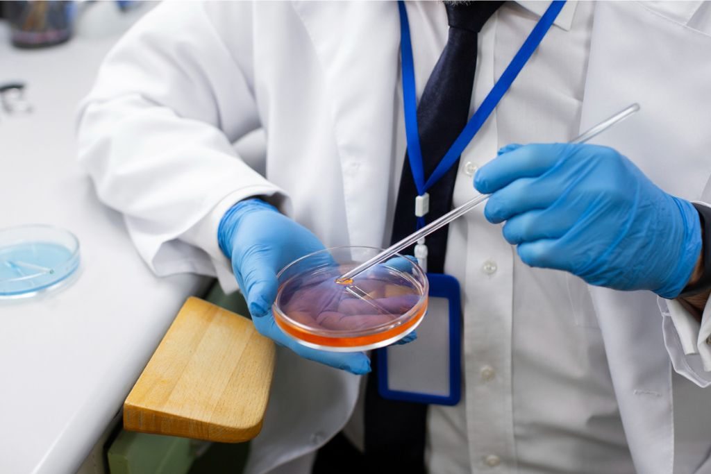 Culture plate being examined in a microbiology laboratory